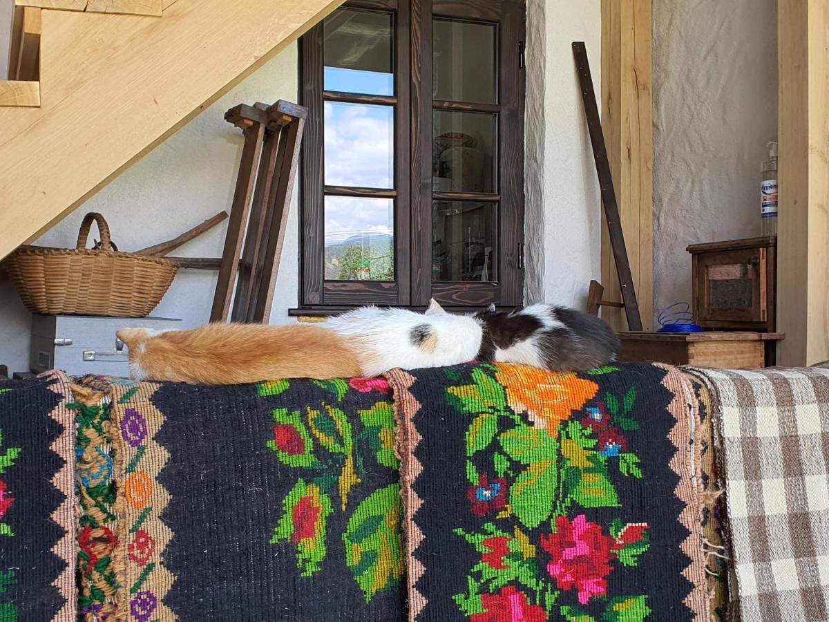 Ograda Bunicilor Villa Baia de Fier Buitenkant foto