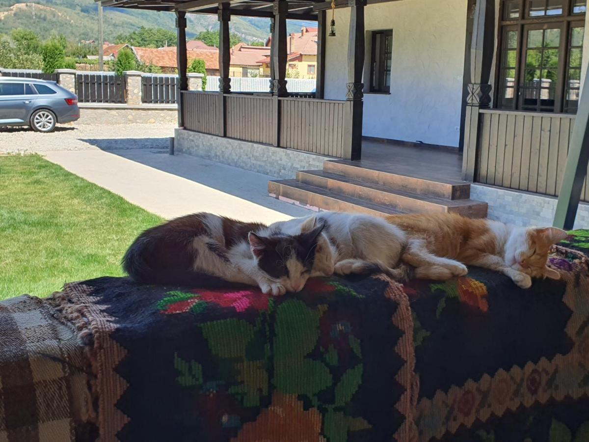 Ograda Bunicilor Villa Baia de Fier Buitenkant foto